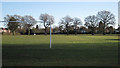 Oaks and pitches, Bentley Heath Park