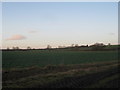 View towards Lodge Farm (Norwell Lodge)