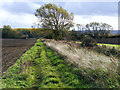 Farmland and footpath, Towersey