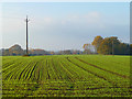 Farmland, Dinton