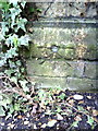 Benchmark on St James Paddington Church