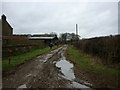 Walking into Broxa near Langdale End