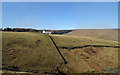 Wall rising from Smithy Cleugh