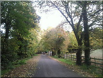 TQ4471 : Kemnal Road, Chislehurst by Marathon