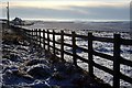 Snowy Moorland