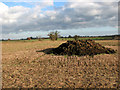 TG3805 : Muck heap beside the bridleway from Cantley to Beighton by Evelyn Simak