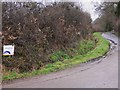 Glasshouse Lane looking north from Marshall