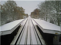 TQ4475 : Falconwood station in the snow by Marathon