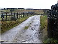 Track to Far Dean Field Farm