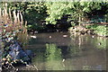 Stalybridge : Stamford Park