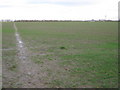 Footpath to A257 Pedding Hill