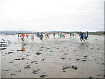 NS1469 : Sandy Beach Innellan by John Ferguson