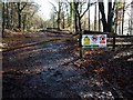 SX8979 : Forestry track in Haldon Forest close to the A380 by David Gearing