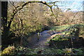 The view downstream from a bridge on Rookbear Lane