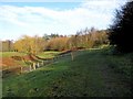 Tree nursery area, Springfield Park