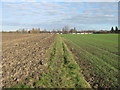 Footpath to Sandwich