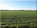 Footpath to Marshborough