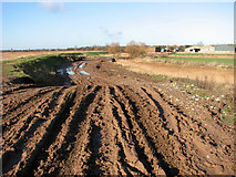 TG4710 : Muddy track crossing footpath along the River Bure by Evelyn Simak
