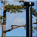 Ventilation pipe, Ormeau Park, Belfast