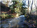 Footbridge over the Pontesford Brook