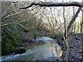 The Pontesford Brook, Radleth