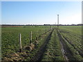 Footpath to Marshborough