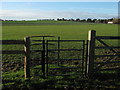 Kissing gate and footpath to Goss Hall