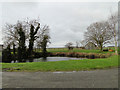 Pond at Brook Farm, Sibton