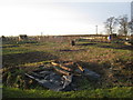 Allotments at Messingham