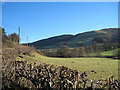 Fields looking towards Siambr Wen