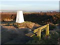 Triangulation pillar, Norland Moor