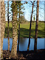 Small lake near Whaley