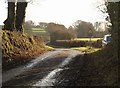 Combe Moor Lane