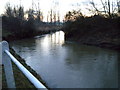 Meandering River Blackwater