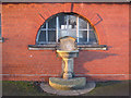 Water fountain in Alexandra Park