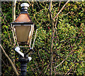 Old lamp. Marino station