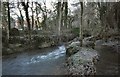 The remains of a weir on Bradiford Water, just upstream from Bradiford