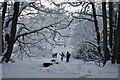 Yeovil Country Park Snowscene