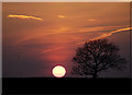 Evening Sun over Capel-le-Ferne