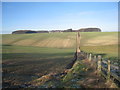 View towards Wharram Percy Farm