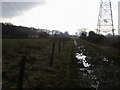 Bridleway to Henwood Farm