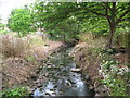 The Chaffinch Brook - Elmers End Branch, north of Dorset Road, BR3