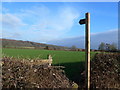 Footpath sign and access near Llanfair Discoed