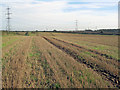 Stubble fields north of Pleasley Park