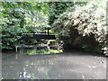 Footbridge, northern lake, Kelsey Park