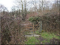 ST1072 : Kissing gate near St Lythans Burial Chamber by John Lord