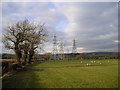 Farmland, Brynhill