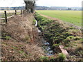 The River Ravensbourne - East Branch, tributary on Bromley Common