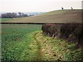 View from Black Hill to Daisy Hill