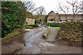 Melbury Osmond:  Raised Footpath and Bridge in Holt Lane